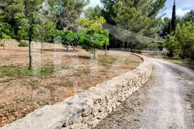 ibiza-estate