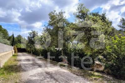ibiza-estate