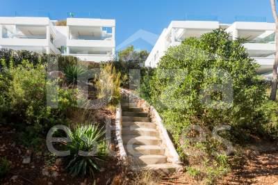 ibiza-estate
