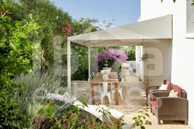 ibiza-estate