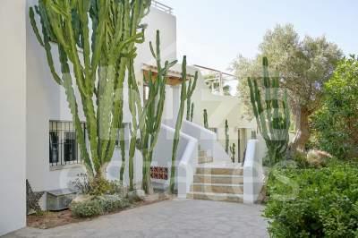 ibiza-estate