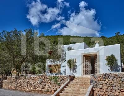 ibiza-estate