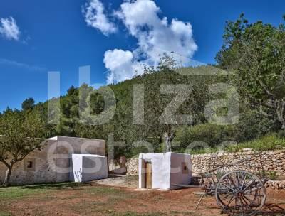 ibiza-estate