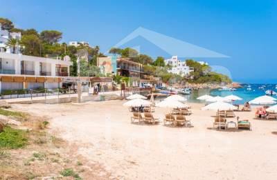 ibiza-estate