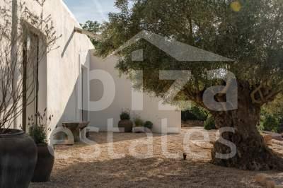 ibiza-estate