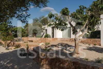 ibiza-estate