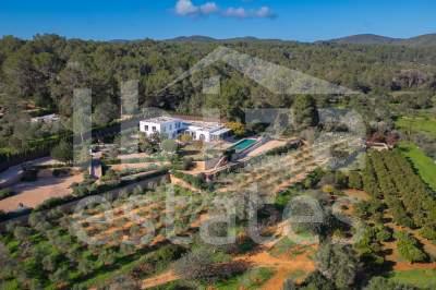 ibiza-estate