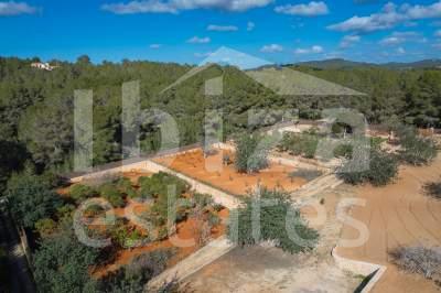 ibiza-estate