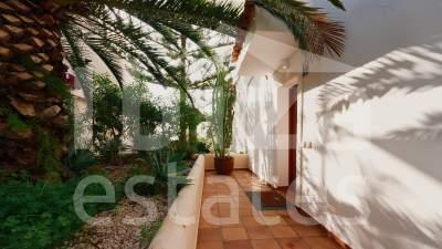 ibiza-estate