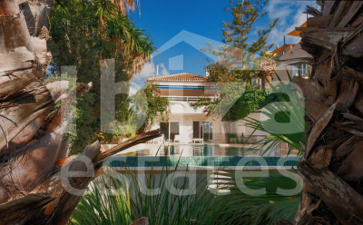 ibiza-estate