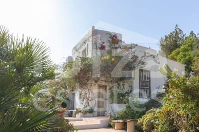 ibiza-estate