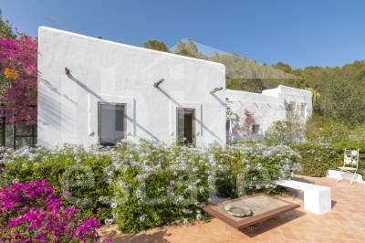 ibiza-estate