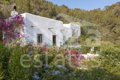 ibiza-estate