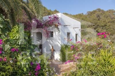 ibiza-estate