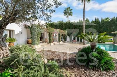 ibiza-estate