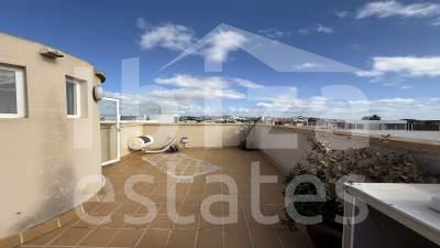 ibiza-estate