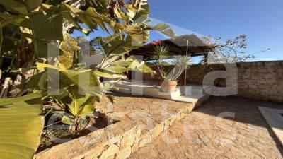 ibiza-estate