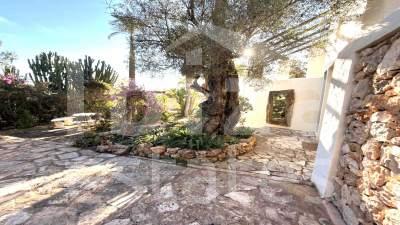 ibiza-estate