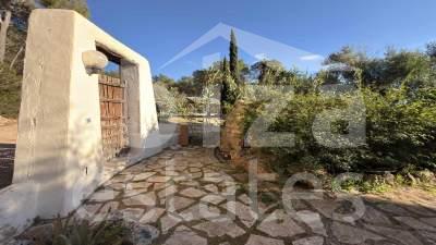 ibiza-estate