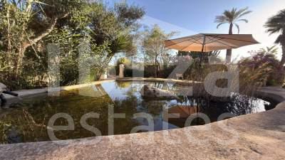 ibiza-estate