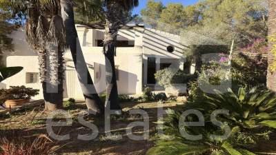 ibiza-estate