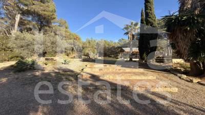 ibiza-estate