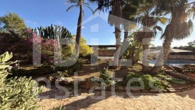 ibiza-estate