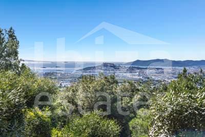 ibiza-estate
