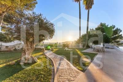 ibiza-estate