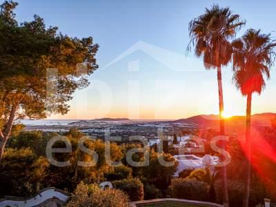 ibiza-estate