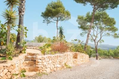 ibiza-estate