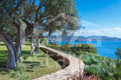 ibiza-estate