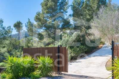 ibiza-estate