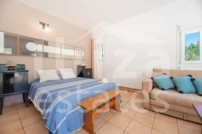 ibiza-estate