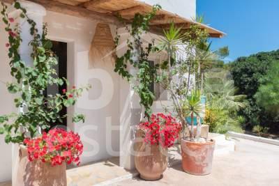ibiza-estate