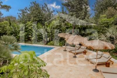 ibiza-estate