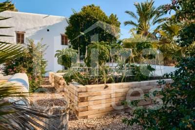 ibiza-estate