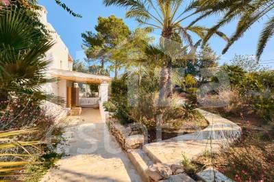 ibiza-estate