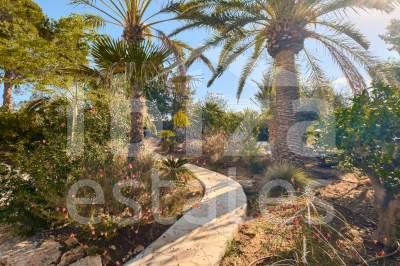 ibiza-estate