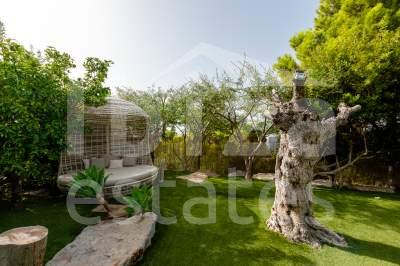 ibiza-estate