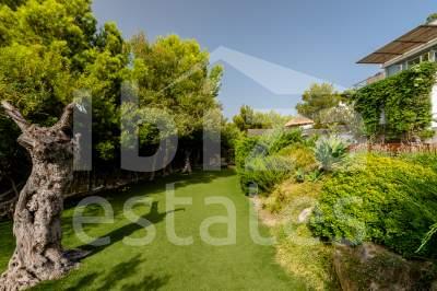 ibiza-estate