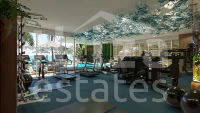 ibiza-estate