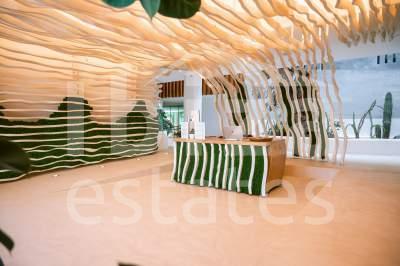 ibiza-estate