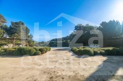 ibiza-estate