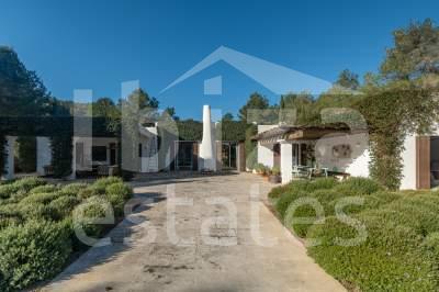 ibiza-estate