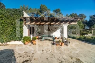ibiza-estate
