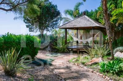 ibiza-estate
