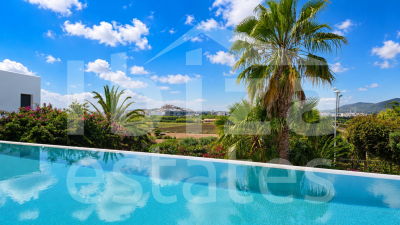 ibiza-estate