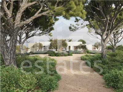 ibiza-estate