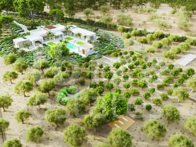 ibiza-estate